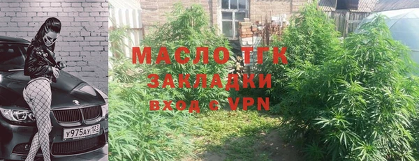 дурь Няндома