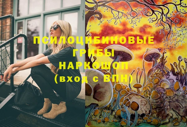 герыч Нязепетровск