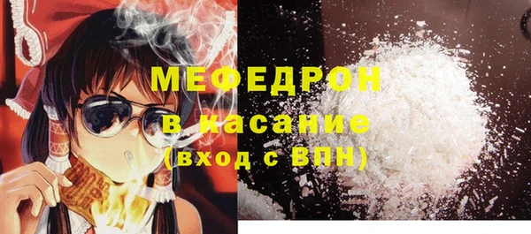 дурь Няндома