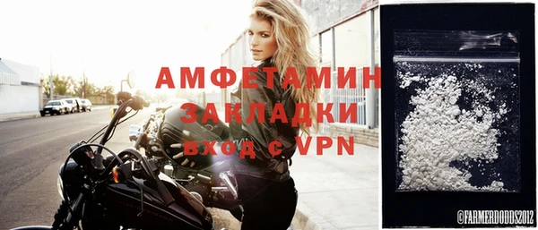 дурь Няндома