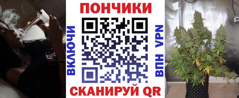 Марихуана сатива  купить  цена  blacksprut онион  Бакал 